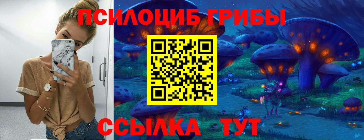 Псилоцибиновые грибы Psilocybine cubensis  Вход с VPN  Алейск 